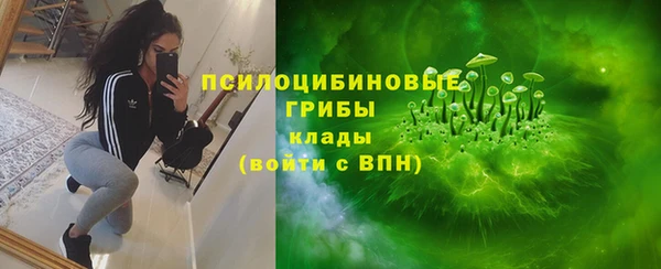 apvp Балабаново