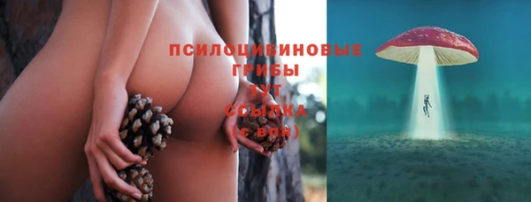 крисы Балахна