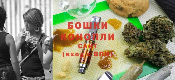 дживик Баксан