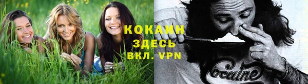 apvp Балабаново
