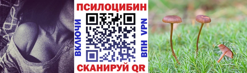 где продают наркотики  Великие Луки  Галлюциногенные грибы Cubensis 